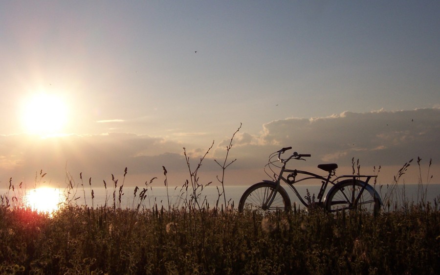005628-Велосипед-солнце-трава-25.jpg
